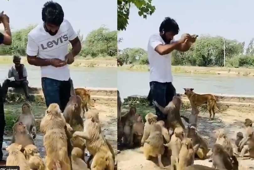 Social Room: Yogeshwar Dutt feeds hungry animals amid coronavirus lockdown; Watch Video