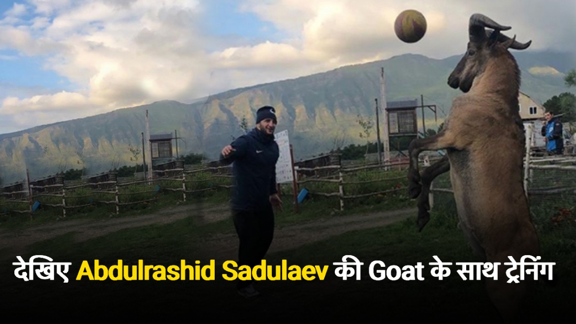 देखिए Abdulrashid Sadulaev की Goat के साथ ट्रेनिंग