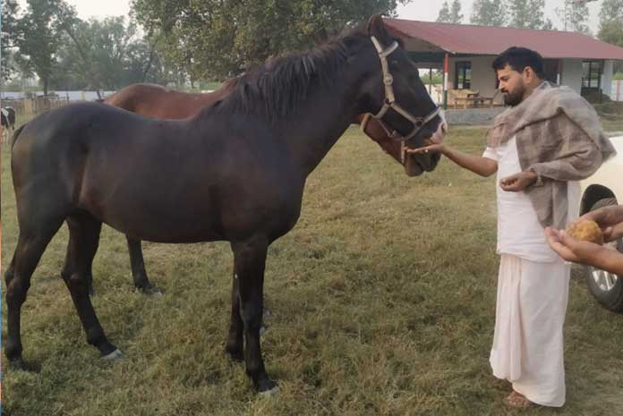 WFI के अध्यक्ष बृजभूषण शरण सिंह ने कोरोना को दी पटकी, फेवरेट घोड़ो के साथ समय बिताया: फोटो देखें